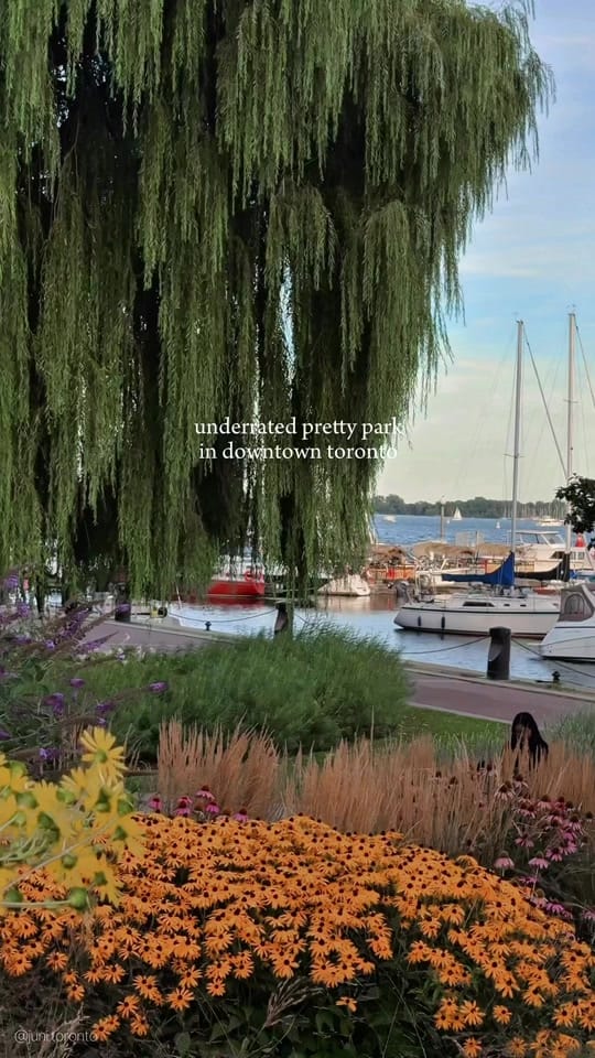 Post 3 by Juni - Toronto 🤍 on TikTok (video)