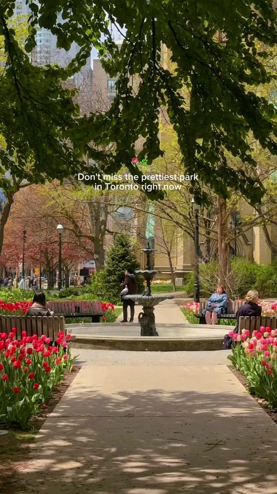 Post 7 by Juni - Toronto 🤍 on TikTok (video)