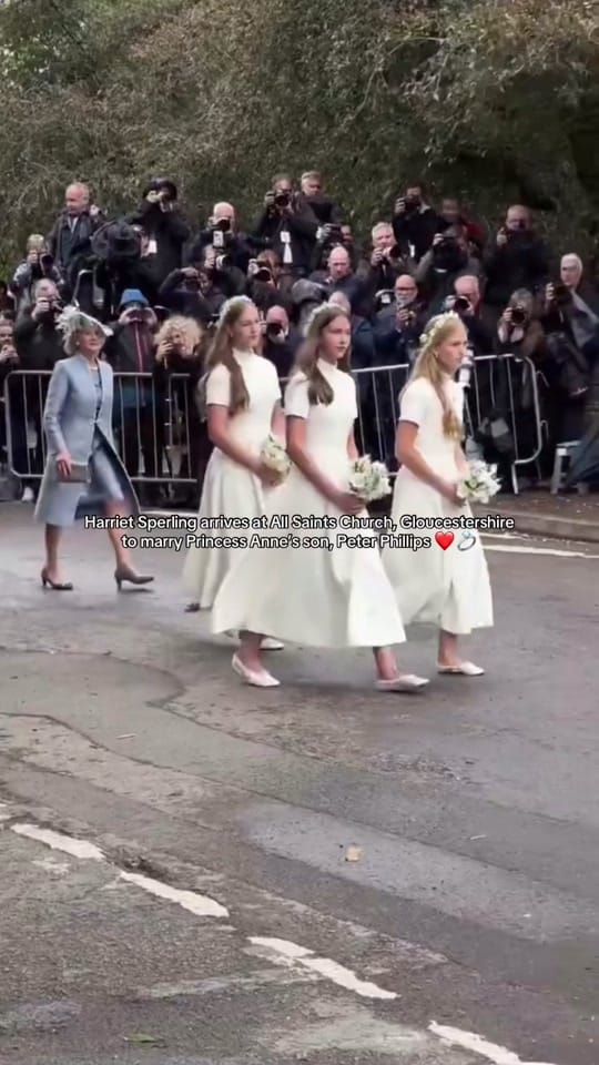 Post 3 by The Wales Family on TikTok (video)