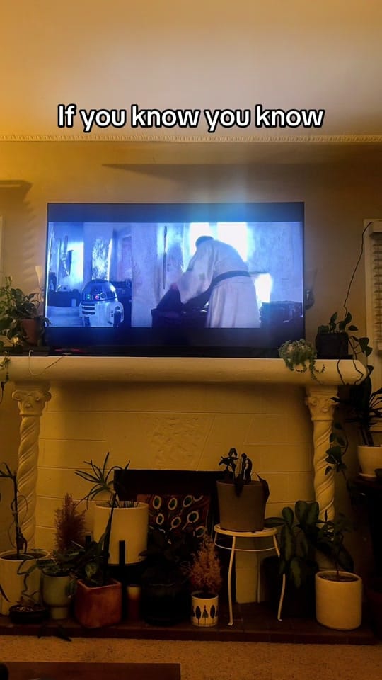 Post 3 by londongoesgalactic on TikTok (video)