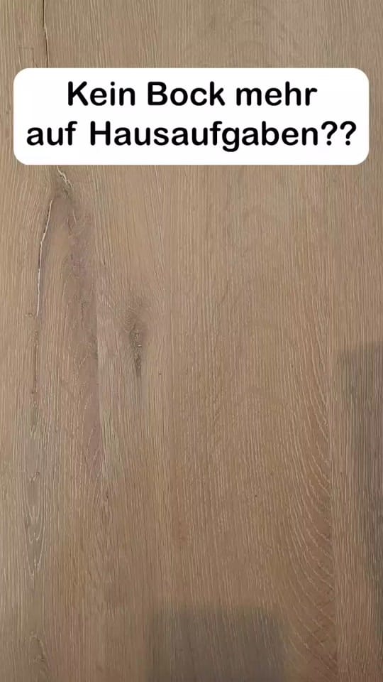 Post 10 by Hausaufgaben Hans on TikTok (video)