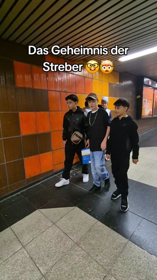 Post 5 by Hausaufgaben Hans on TikTok (video)
