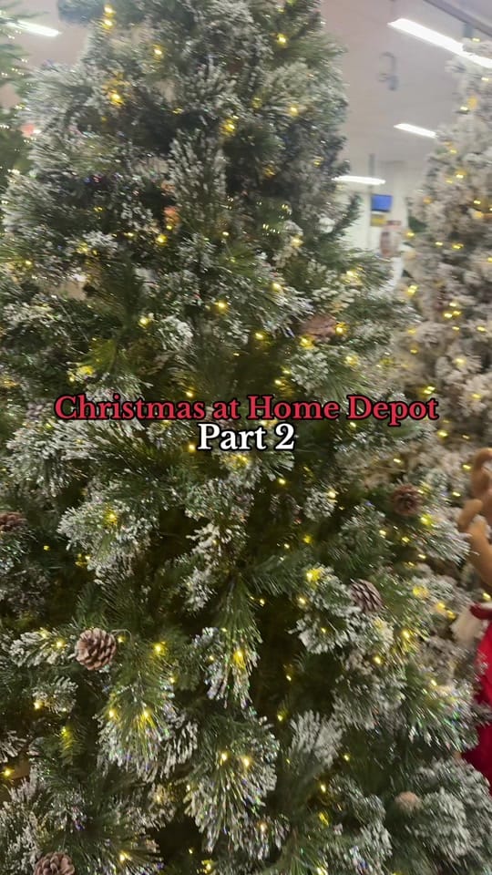 Post 8 by JULES 🤍 on TikTok (video)