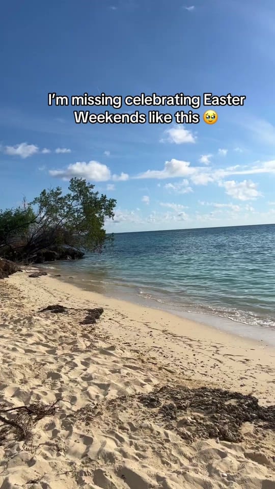 Post 3 by Maggie|🇨🇦Toronto Creator on TikTok (video)