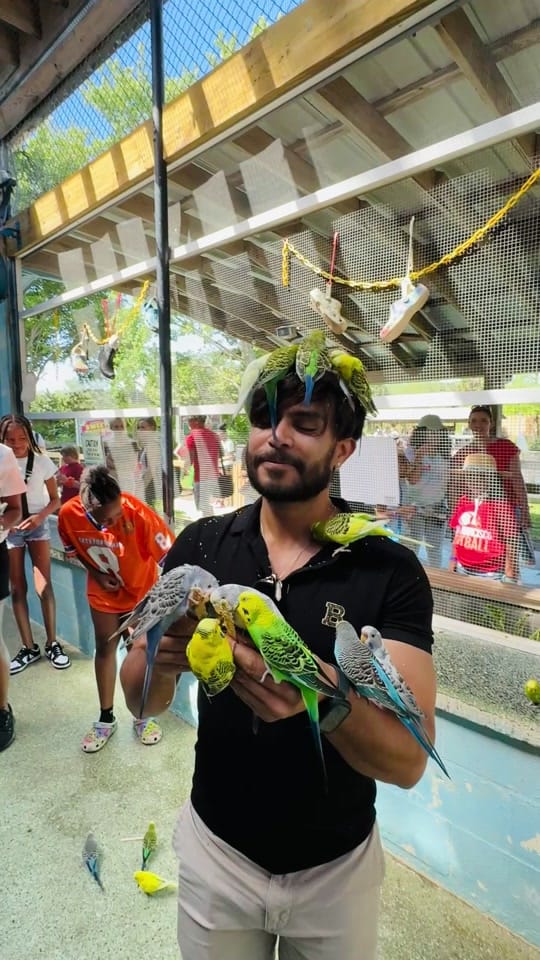 Post 1 by ranjeetjha 🇺🇸 on TikTok (video)
