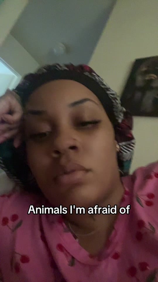 Post 3 by Phoenix the truth on TikTok (video)
