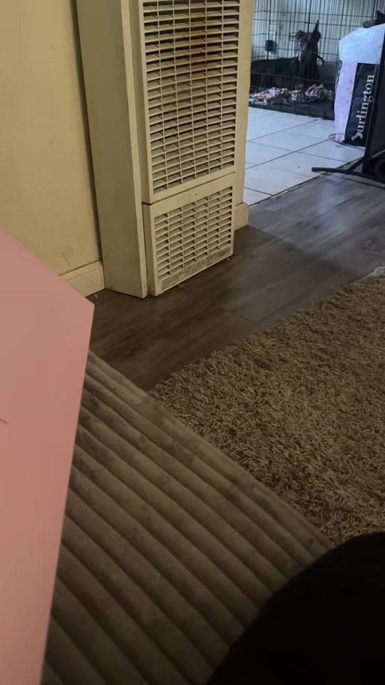 Post 9 by Phoenix the truth on TikTok (video)