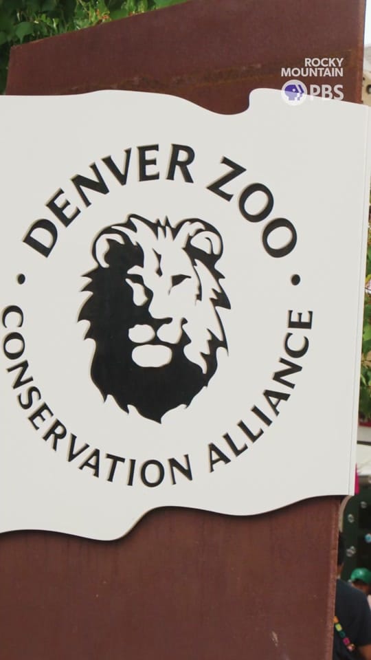 Post 2 by Rocky Mountain PBS on TikTok (video)