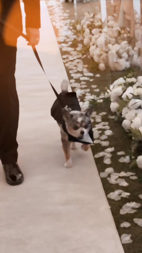 Post 2 by Eden Weddings & Stays on TikTok (video)