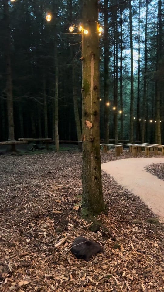 Post 10 by Eden Weddings & Stays on TikTok (video)