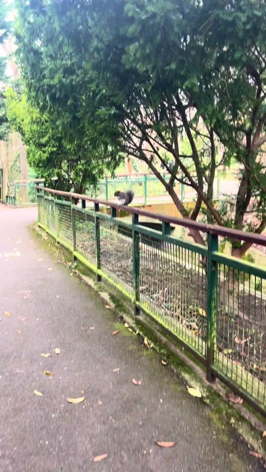 Post 3 by Jacqueline Ozorio on TikTok (video)