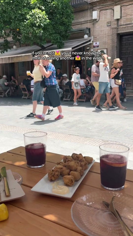 Post 8 by ellierosetyrrell 🏳️‍🌈🪩✨ on TikTok (video)