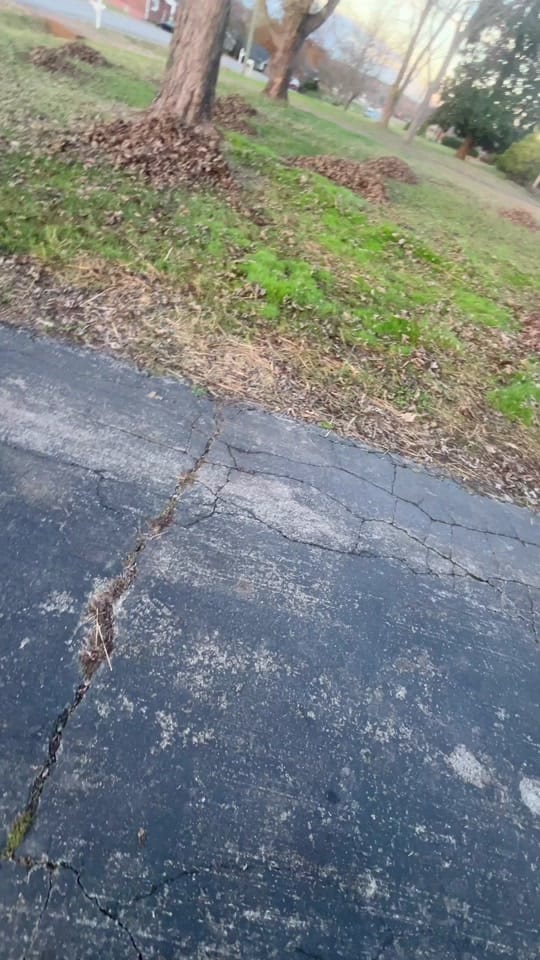 Post 8 by Sofie Lynn on TikTok (video)