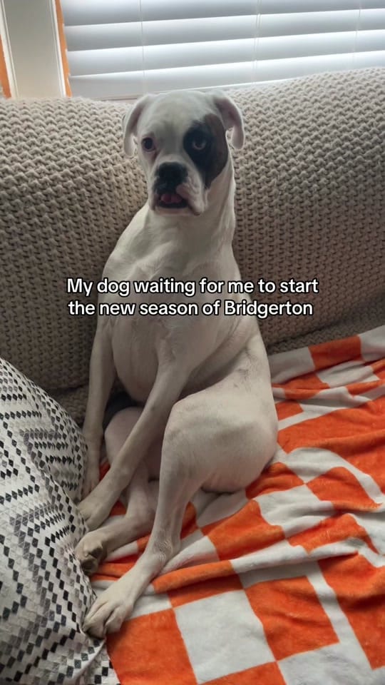 Post 1 by Sofie Lynn on TikTok (video)
