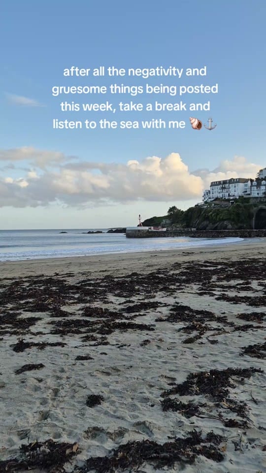 Post 10 by Elle ☕️🐚💓 on TikTok (video)