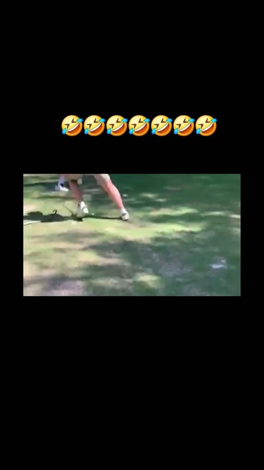 Post 6 by Danny on TikTok (video)