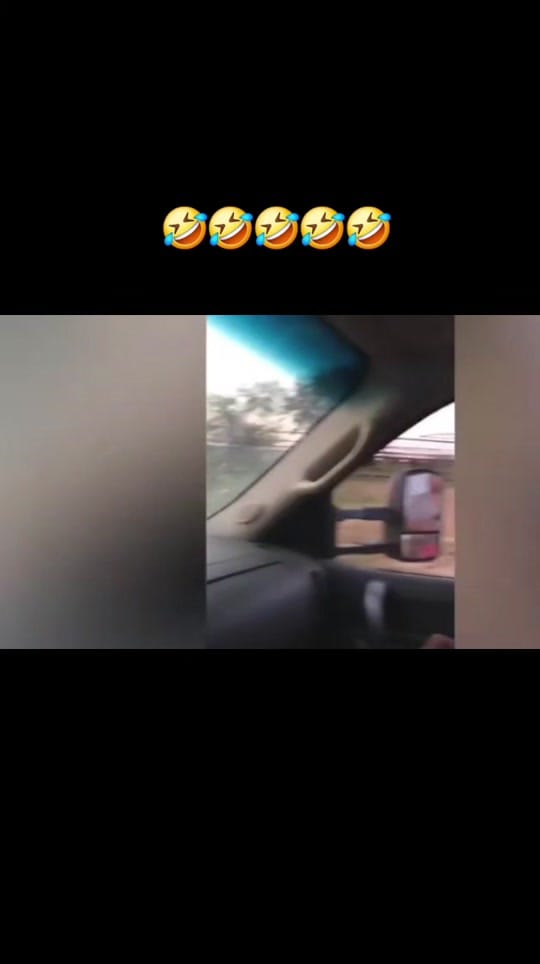 Post 7 by Danny on TikTok (video)