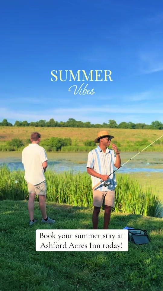 Post 7 by Ashfordacresinn on TikTok (video)