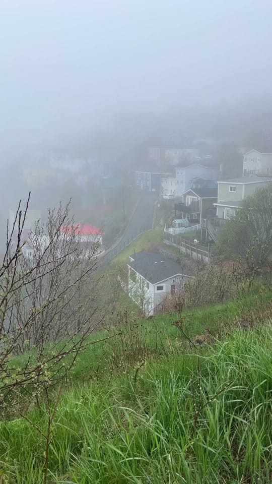 Post 7 by Jennifer on TikTok (video)