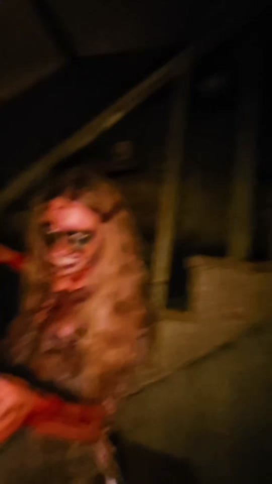 Post 9 by Horror Guru on TikTok (video)