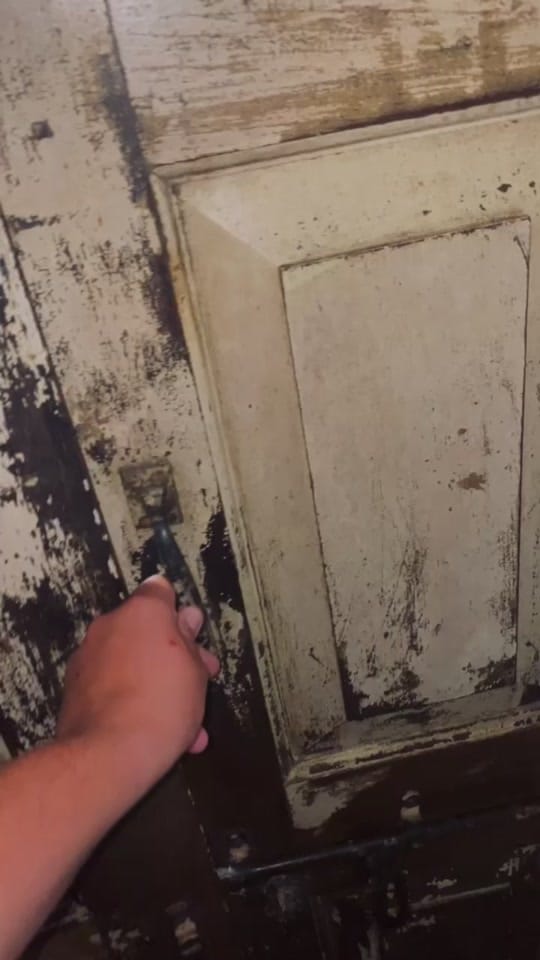 Post 3 by White Ghost Ranch on TikTok (video)