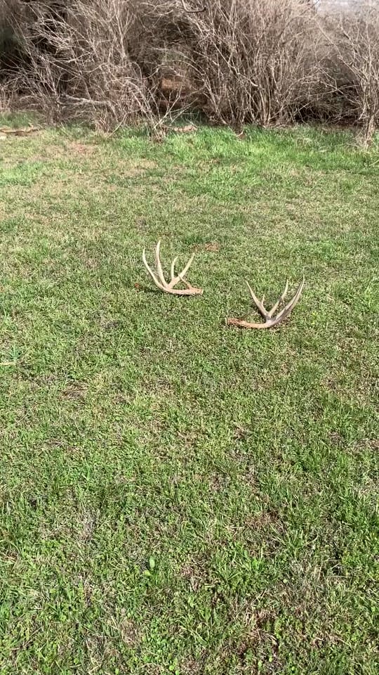 Post 8 by White Ghost Ranch on TikTok (video)