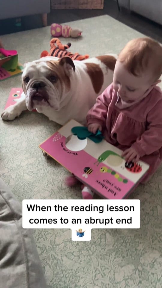 Post 6 by Chunk & Ivy 🐶 👶🏻 on TikTok (video)