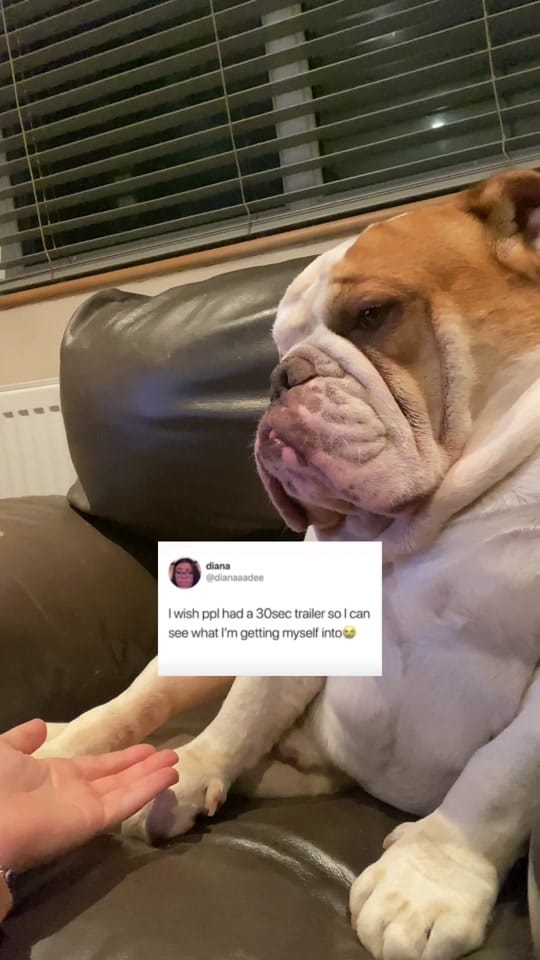 Post 5 by Chunk & Ivy 🐶 👶🏻 on TikTok (video)