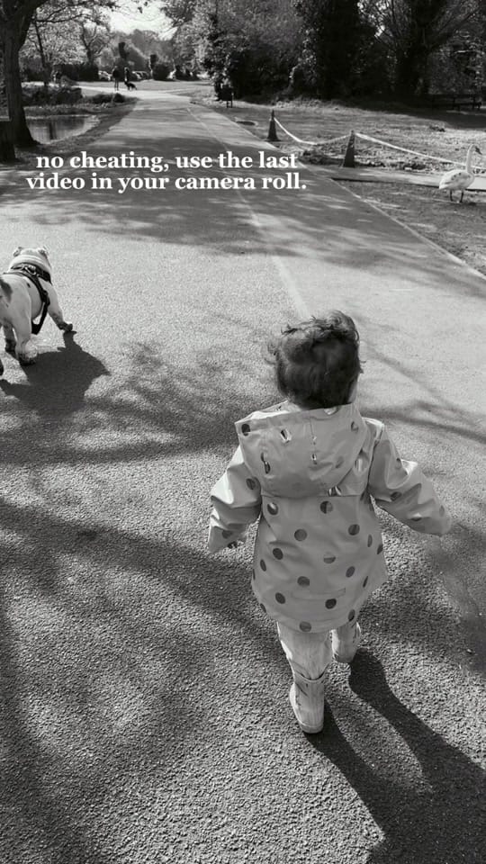 Post 1 by Chunk & Ivy 🐶 👶🏻 on TikTok (video)