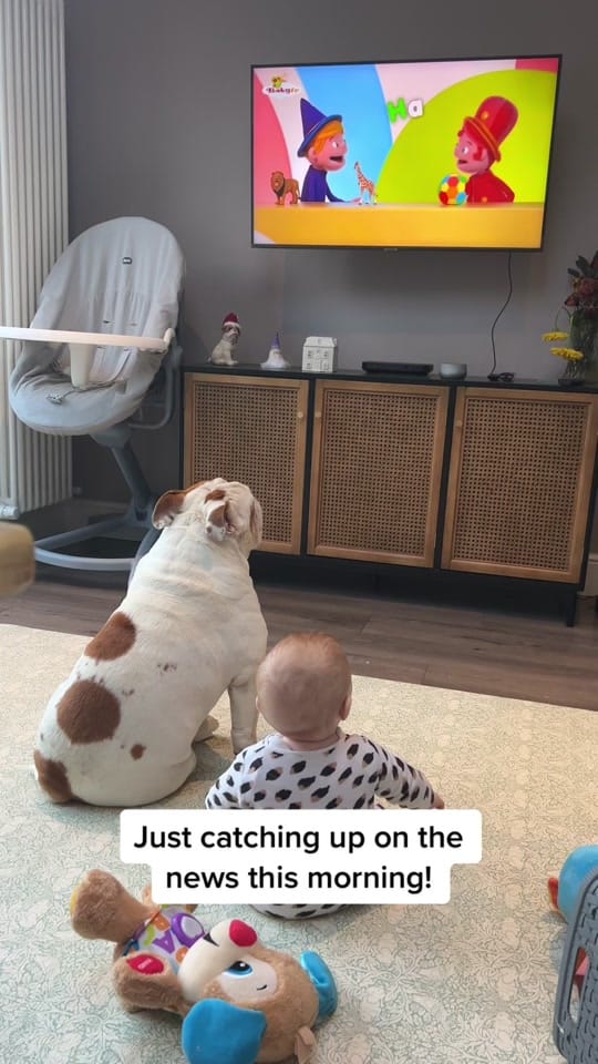 Post 9 by Chunk & Ivy 🐶 👶🏻 on TikTok (video)