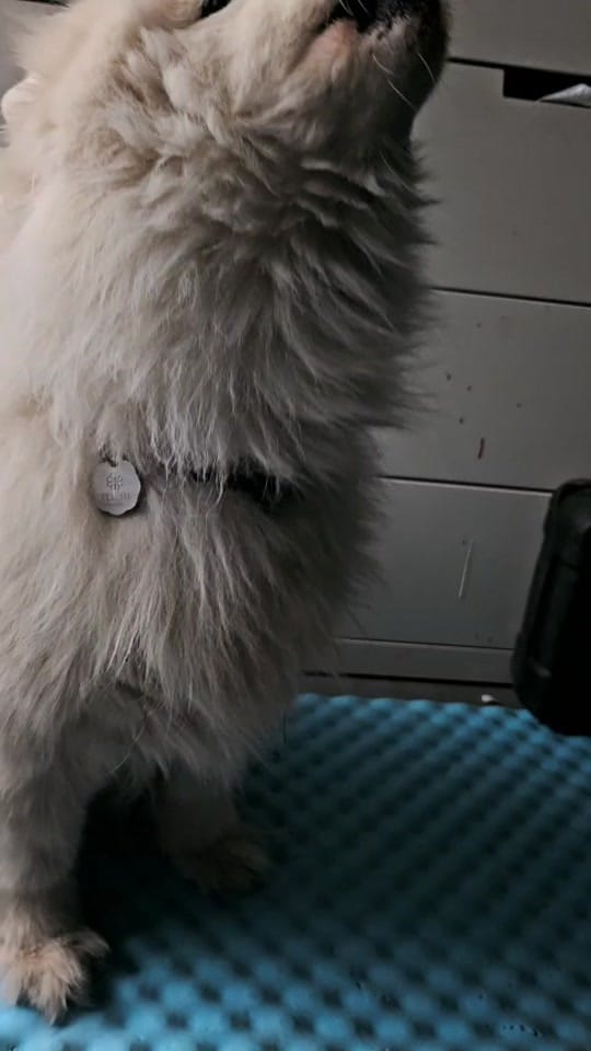 Post 3 by Cynthia Brault on TikTok (video)