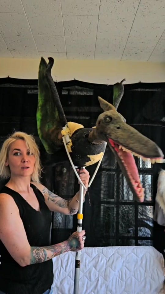 Post 2 by Cynthia Brault on TikTok (video)
