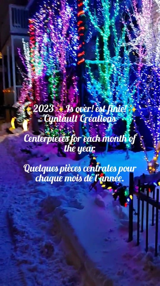 Post 4 by Cynthia Brault on TikTok (video)
