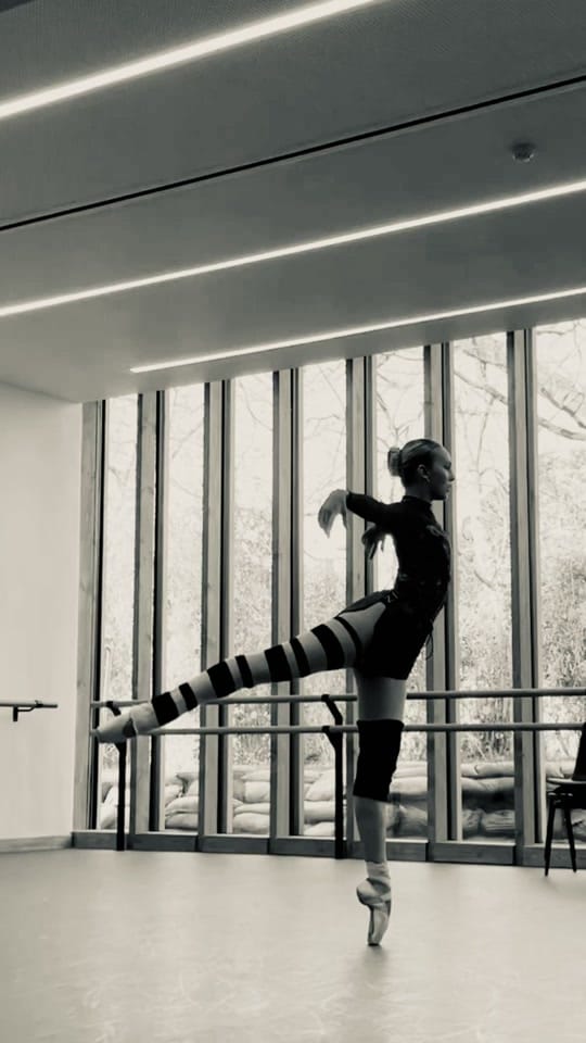 Post 9 by serena mccall on TikTok (video)
