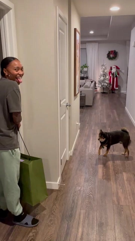 Post 10 by Lee Lee Boothe on TikTok (video)