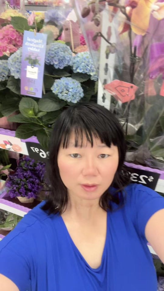 Post 4 by May Shi on TikTok (video)