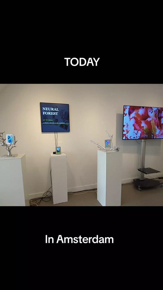Post 6 by gulisilb on TikTok (video)