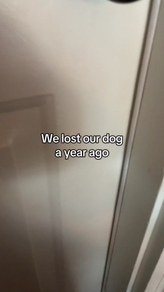 Post 5 by Jeff Kurkjian on TikTok (video)