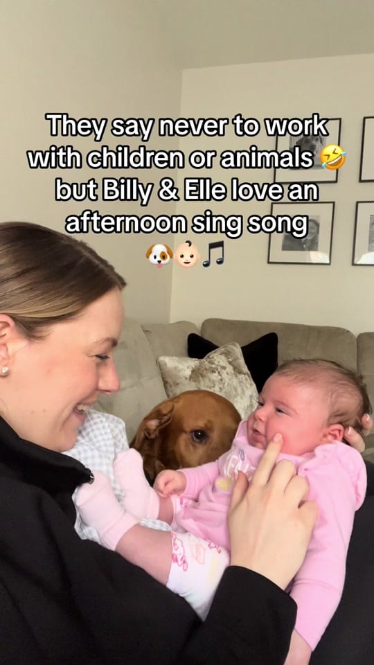 Post 9 by laurenelaineweddings on TikTok (video)