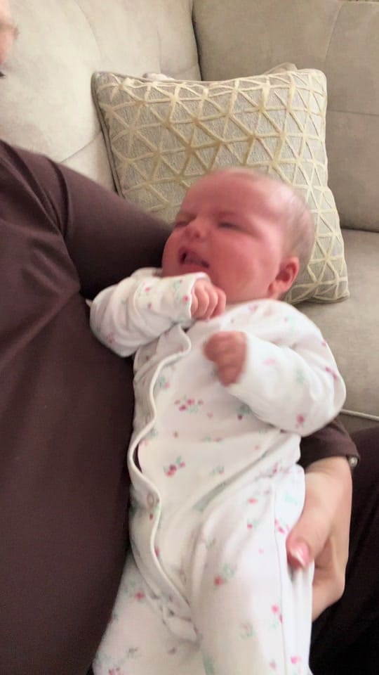 Post 1 by laurenelaineweddings on TikTok (video)