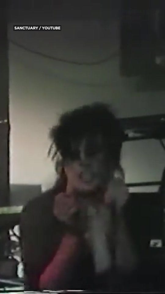 Post 10 by CBC Music on TikTok (video)