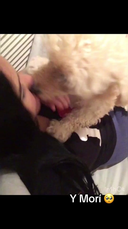 Post 8 by Liz on TikTok (video)