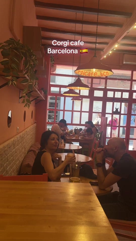 Post 6 by soph🌺 on TikTok (video)