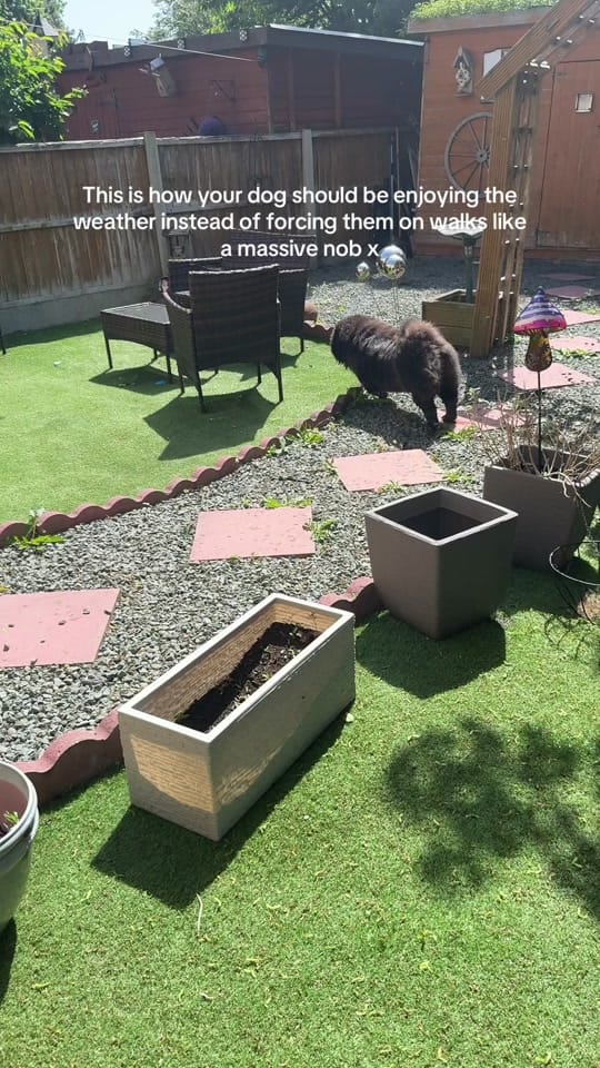 Post 2 by soph🌺 on TikTok (video)