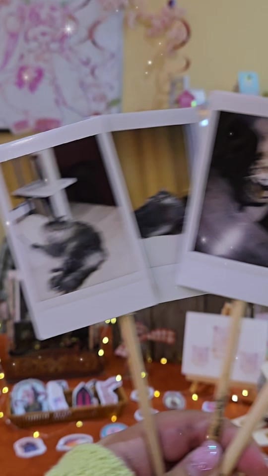 Post 5 by Artist Alley Shop on TikTok (video)