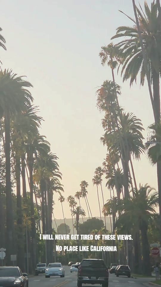 Post 2 by Lauris Reiniks on TikTok (video)