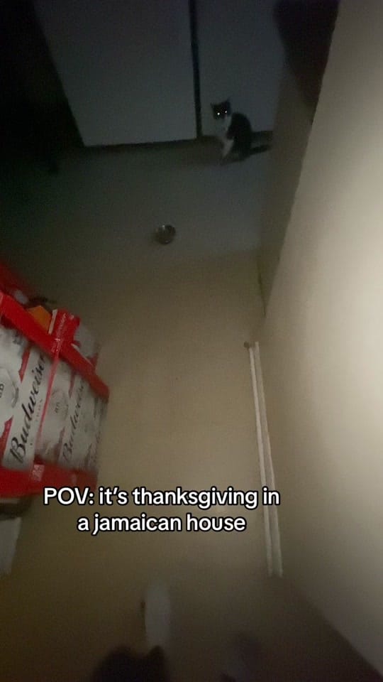 Post 1 by Allowme on TikTok (video)