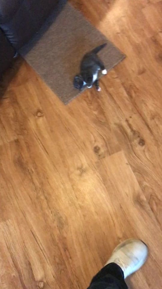 Post 4 by Jackson McGowan on TikTok (video)