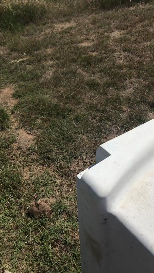 Post 7 by Jackson McGowan on TikTok (video)