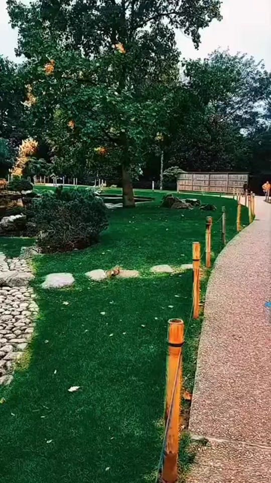 Post 7 by London12🇬🇧 on TikTok (video)